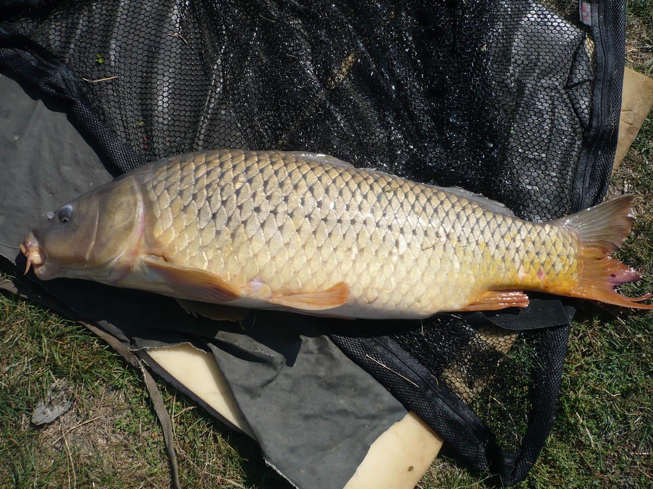 MV 2 - 19 SEPT 2014 - p1020838.JPG